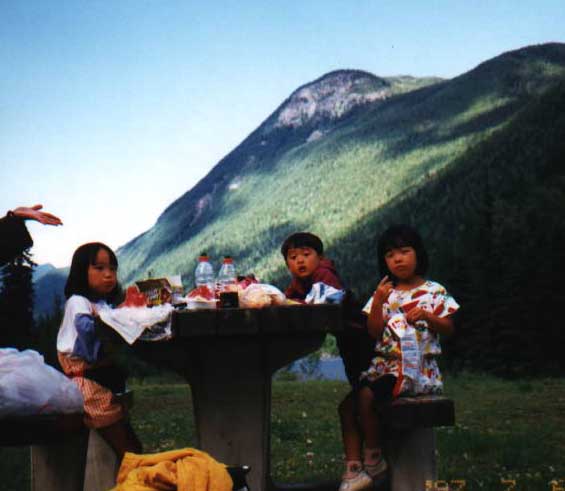 picnic